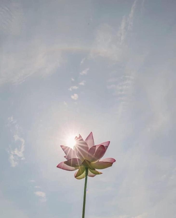Khach San Flower Sky נה טראנג מראה חיצוני תמונה